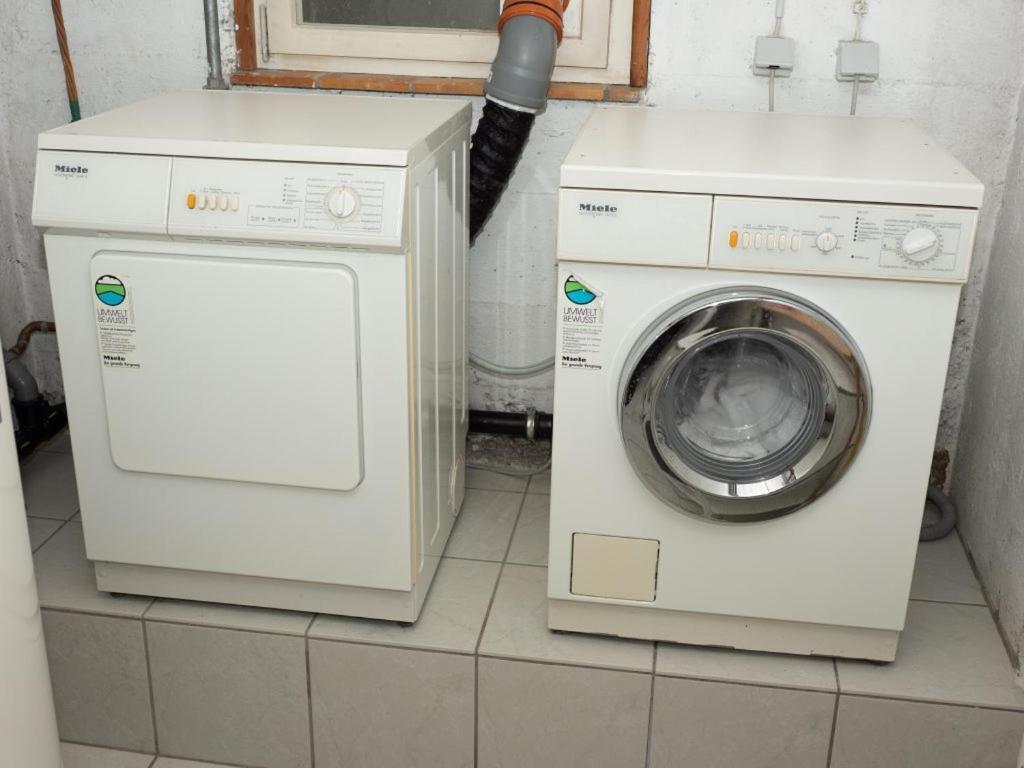 Hirschen